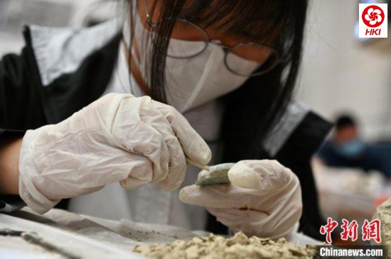 学生认真参与云端游学活动。 李志华 摄